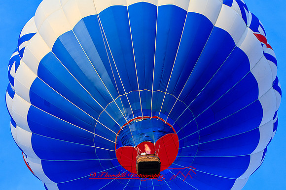 midland-balloon-2010_20